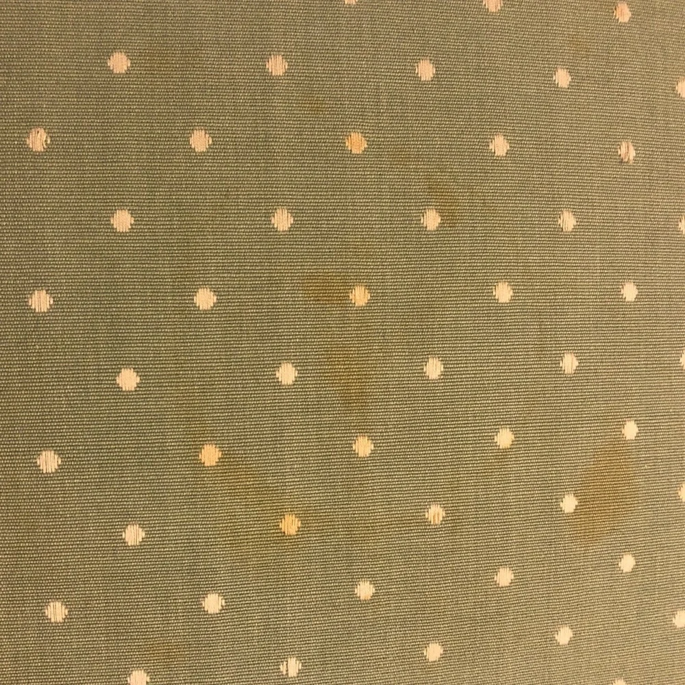 Pair of Sage Green Throw Pillows with Embroidered Dots